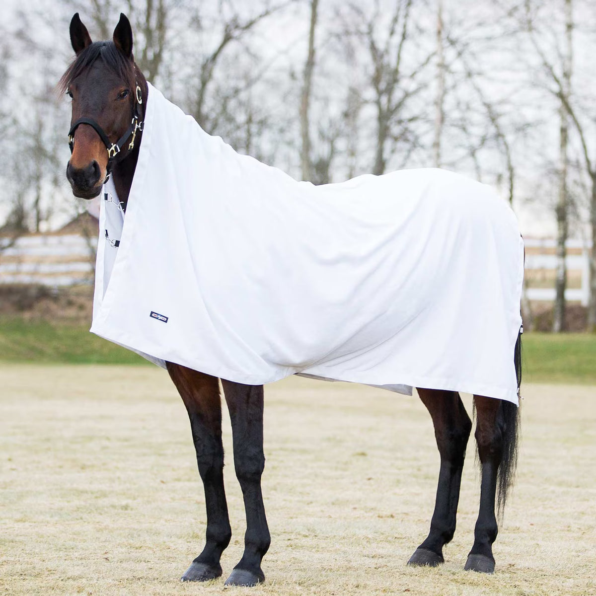 Fleece cooler