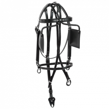 Racing Tack leather closed bridle