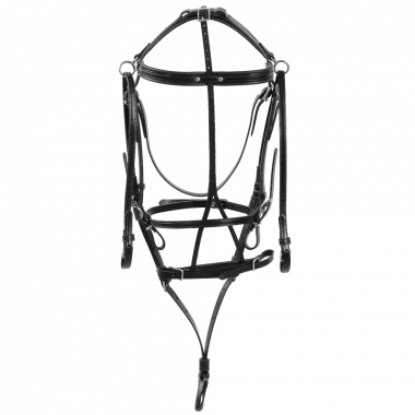 Leather bridle with side check